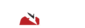 PetPalazzo logo negativo peq